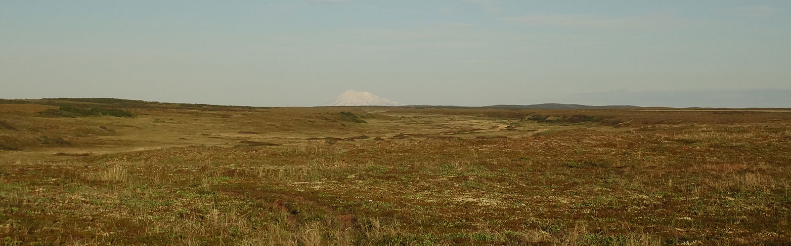 mountain in distance